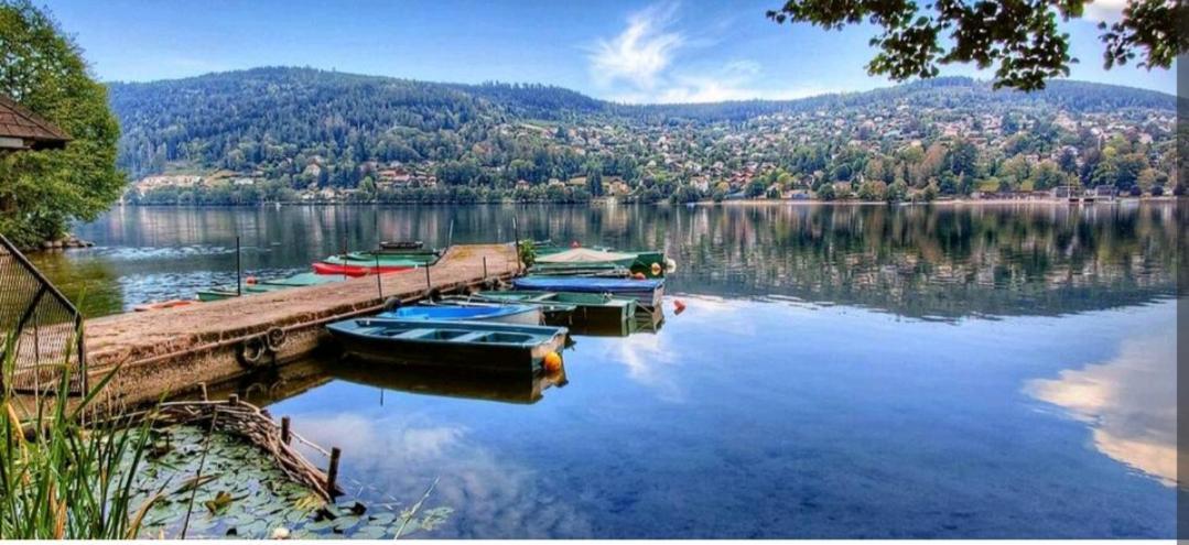Moderne Près Du Et Centre Ville. Résidence Les Eaux Vives. Appartement Gérardmer